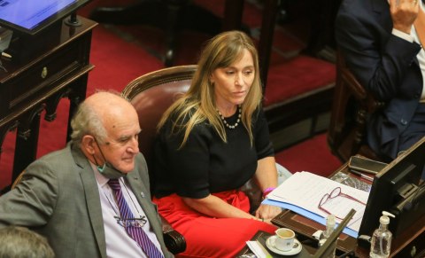 Con aval de Cristina, el kirchnerismo duro trabaja en el Senado en un proyecto propio de Ingreso Universal
