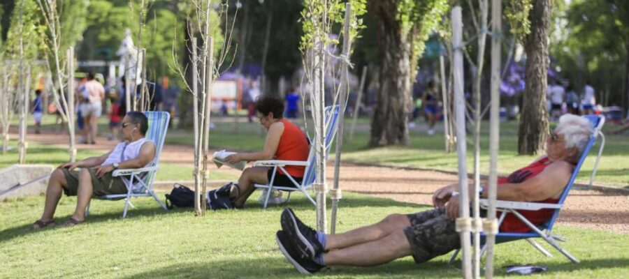 Cómo estará el clima el día de la final del Mundial