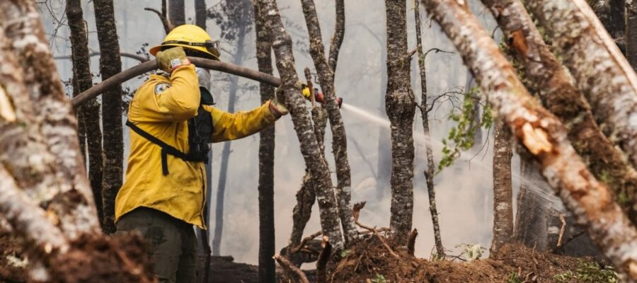 El gobierno fueguino promulgó Ley de Emergencia Ambiental por los incendios en Tolhuin