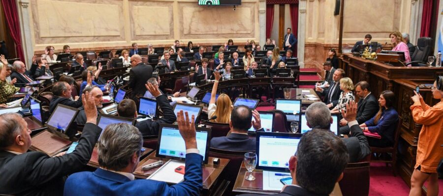 El Senado busca dar un paso clave para la aprobación de la ley de cardiopatías congénitas