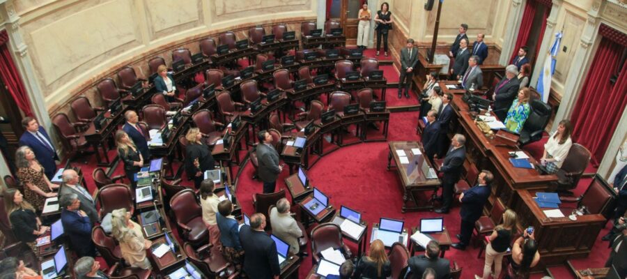 El Senado aprobó el dictamen del proyecto de ley de Cardiopatías Congénitas