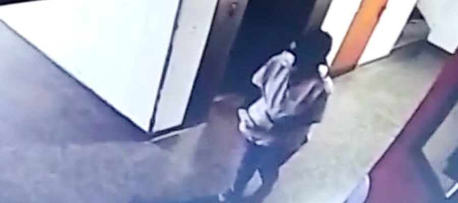 La falsa enfermera que se robó a la beba en un hospital de Ingeniero Budge no es la mujer que aparece en el video difundido