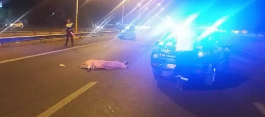 Mendoza: un hombre murió atropellado por un anto en Luján de Cuyo