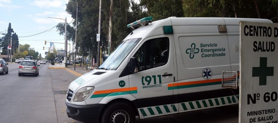 Tragedia en Mendoza: un auto embistió a dos caballos en la ruta y murió una mujer