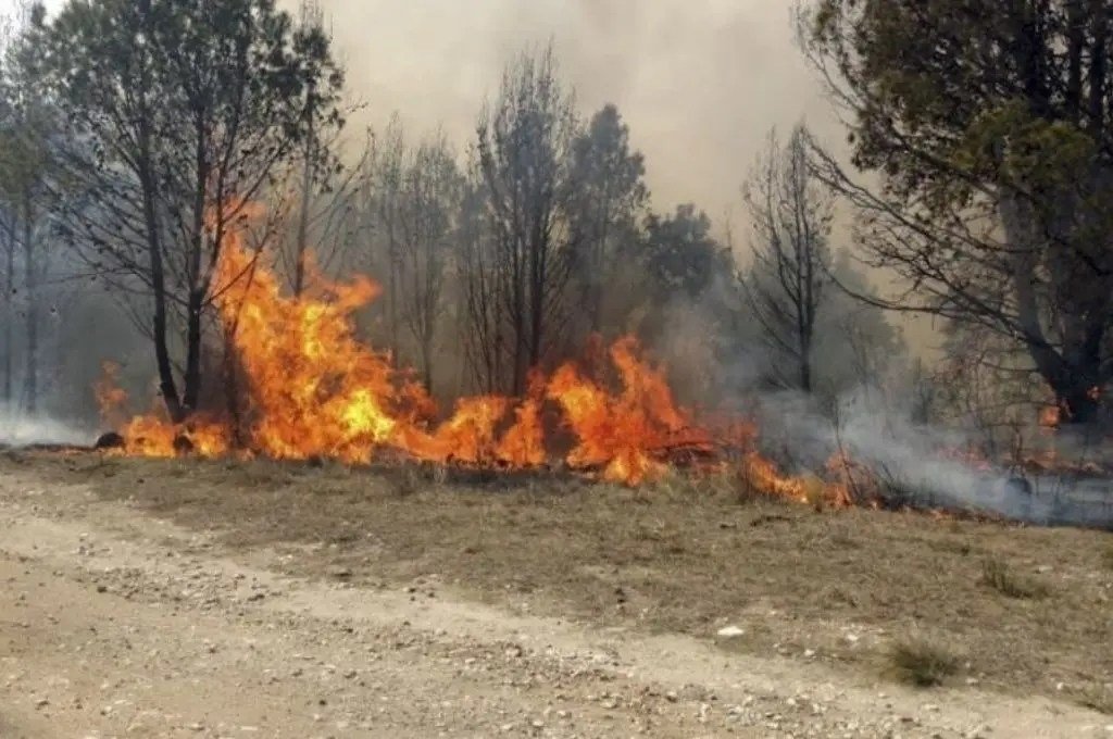 Fin de año con incendios en Corrientes, La Pampa y Entre Ríos - Diario Hoy  En la noticia