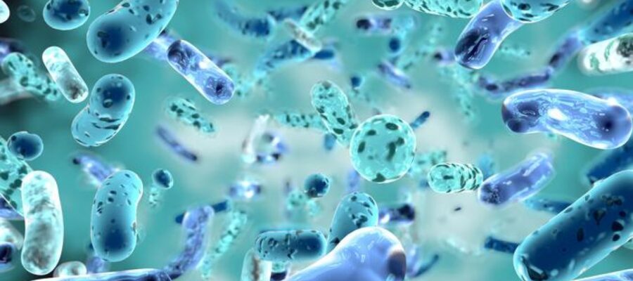 Recomiendan medidas para disminuir el riesgo resistencia a los antibióticos