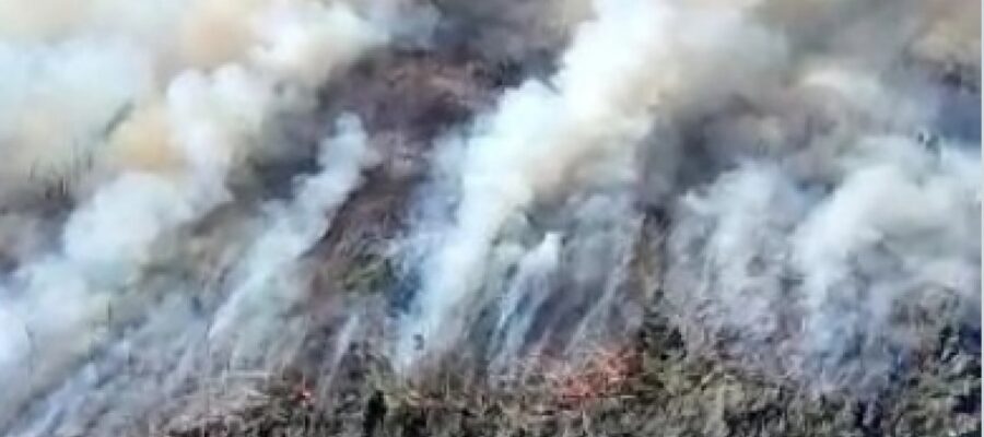 Sergio Federovisky: "El problema es que no hay una Justicia que acompañe la política pública para prevenir los incendios"