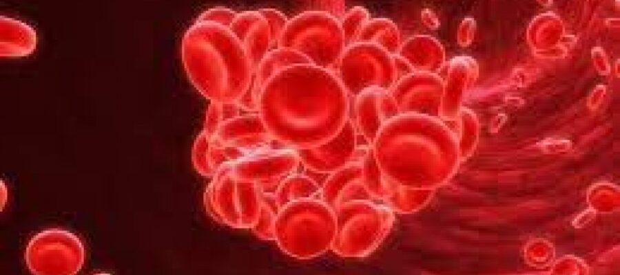 Hemofilia: a quiénes afecta esta enfermedad genética