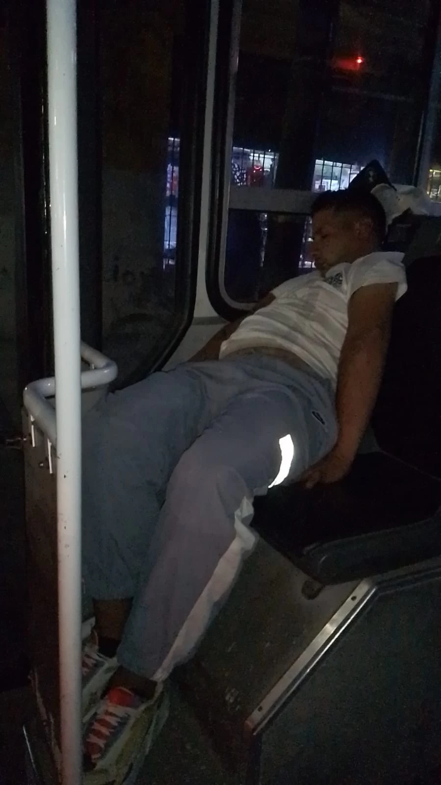 colectivero.jpg