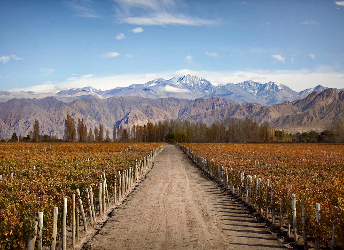Mendoza_copy.jpg