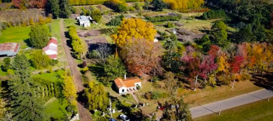 Escapadas: el pueblito del “millón de árboles” que tiene más viveros que calles