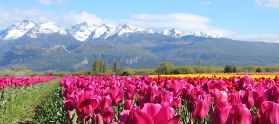 El mejor destino de la Patagonia para visitar en primavera es una aldea galesa enclavada en un colorido valle