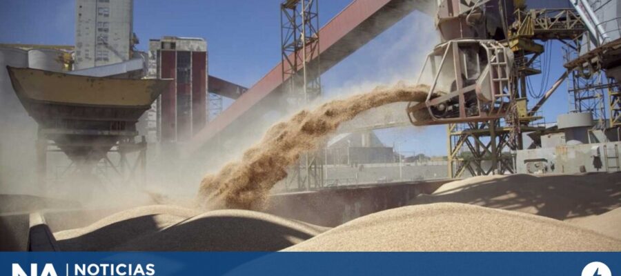 La liquidación de divisas de los agroexportadores creció 64% en enero