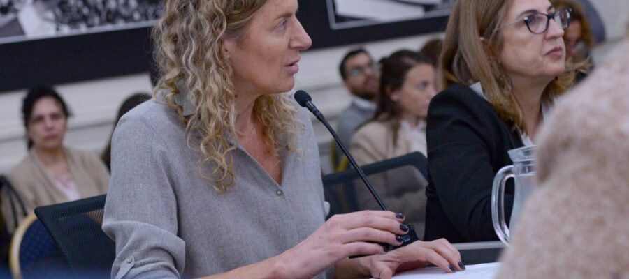 Legislatura: Código Urbanístico y financiamiento para la salud