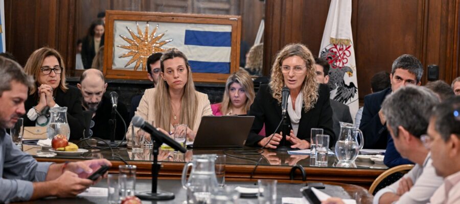 La Legislatura llevó adelante la última jornada de rondas presupuestarias