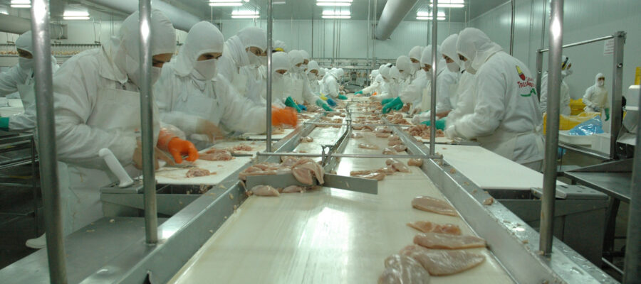 Golpe a la industria: la principal avícola del país paralizó su planta más importante y temen el cierre definitivo
