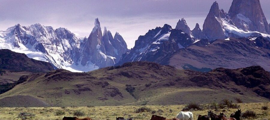 Vaca Muerta y mucho frío: el combo que despierta el interés de las empresas tecnológicas por la Patagonia