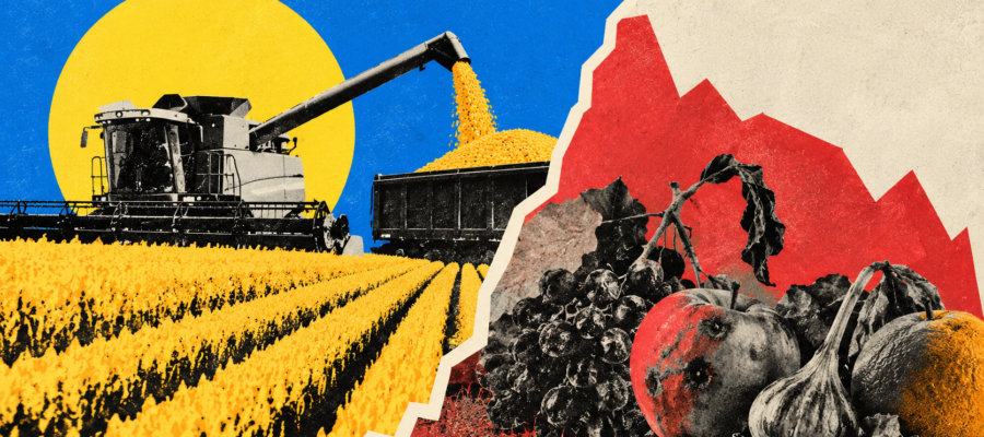Alerta en el agro: 15 de 21 economías regionales caen